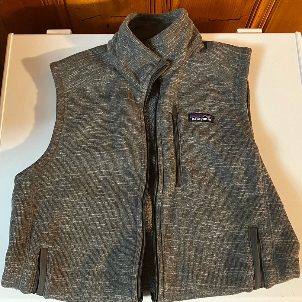 Patagonia Gray Fleece Vest